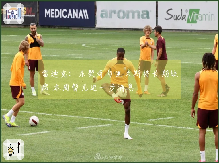 雷迪克：东契奇与里夫斯将长期缺席 本周暂无进一步消息